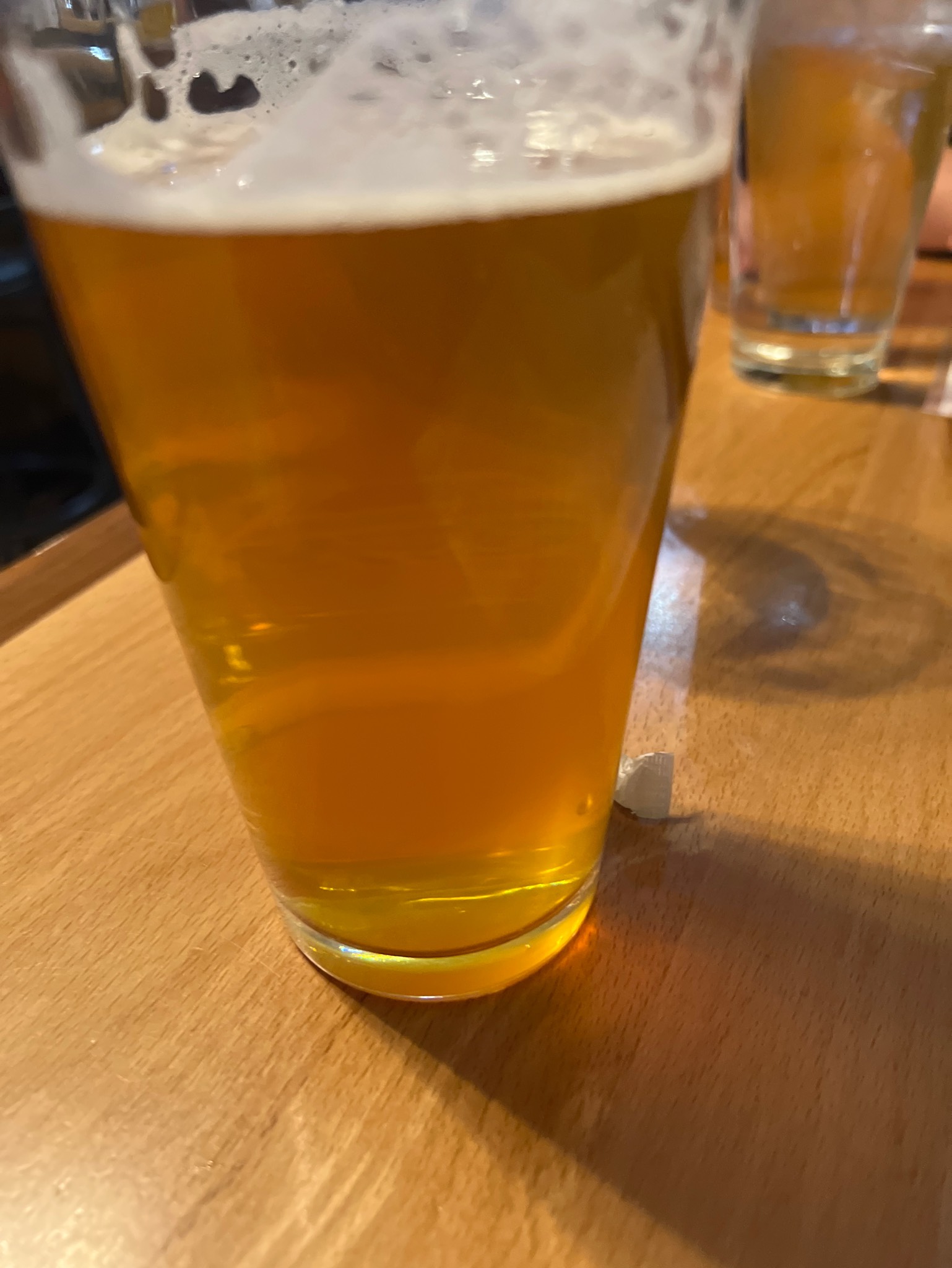 Johnny's American IPA, Moab Brewery