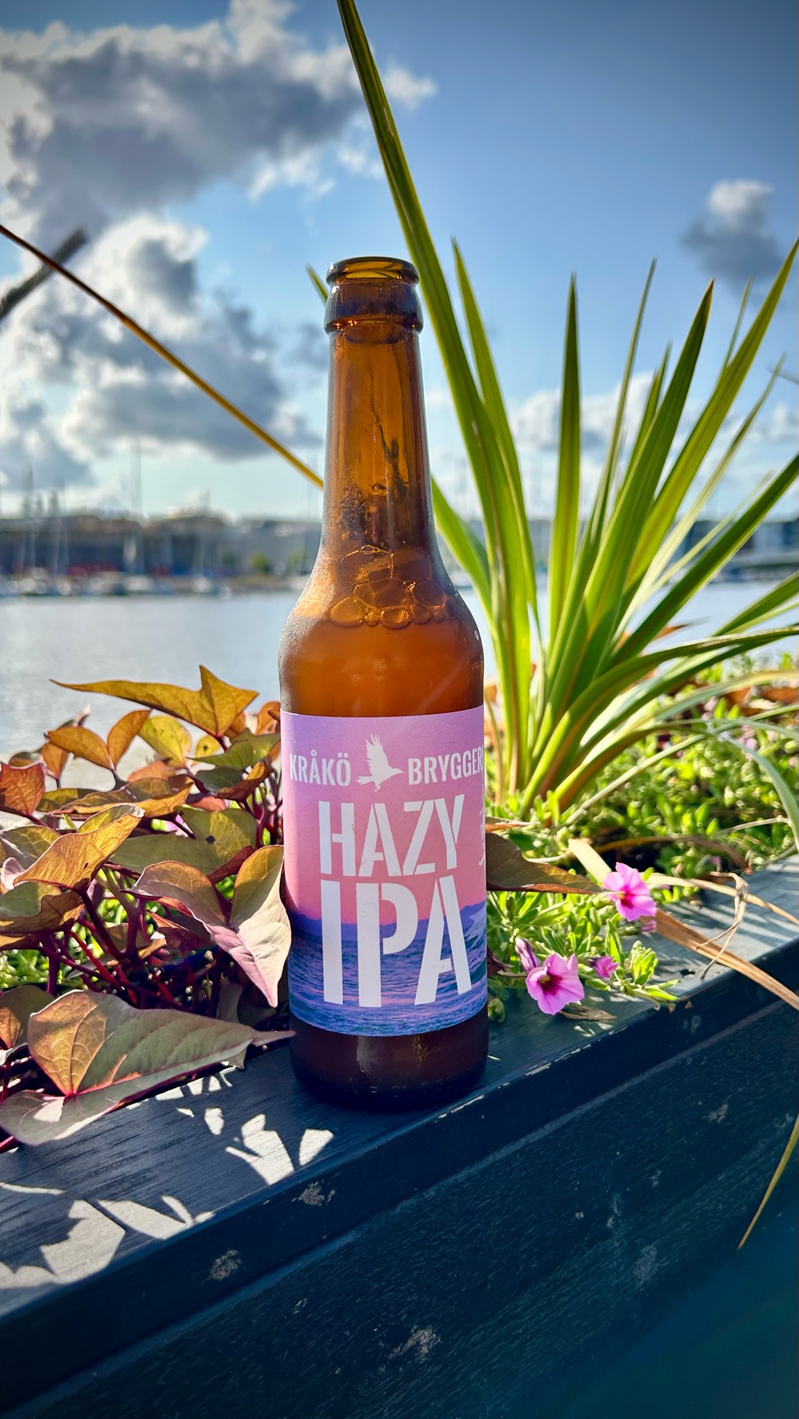 Tropical Hazy IPA, Finland