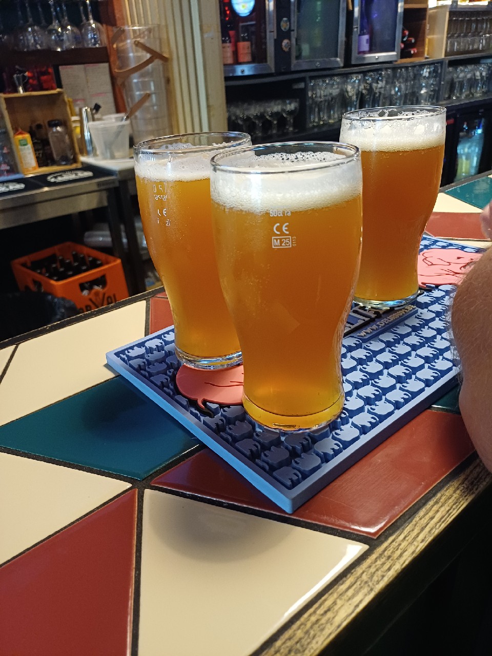 Barracuda, Brussels Beer Project