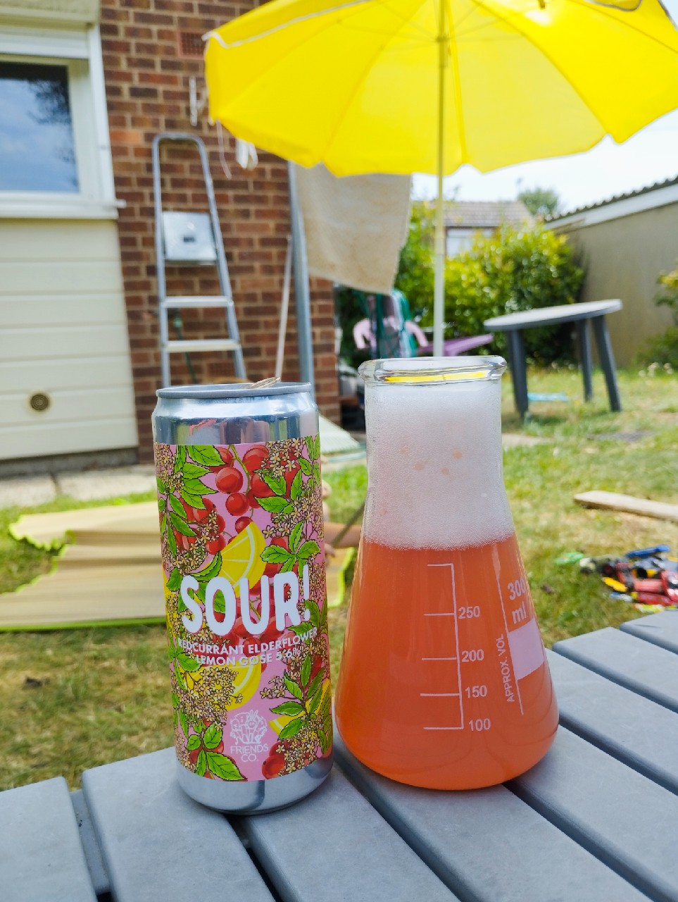 Sour! Redcurrant Elderflower Lemon, Sweden