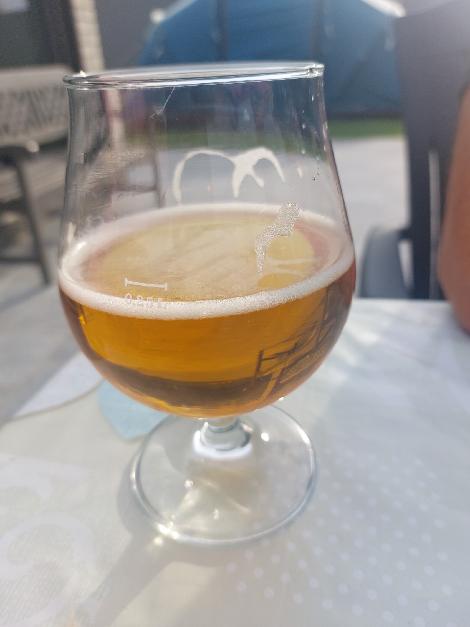 Alveringem Blonde, France
