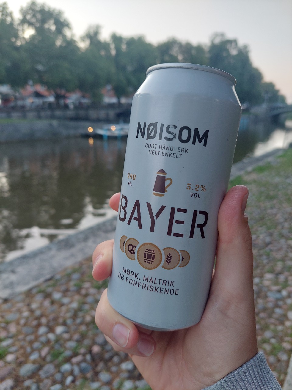 Nøisom Bayer, Nøisom Craft Beer