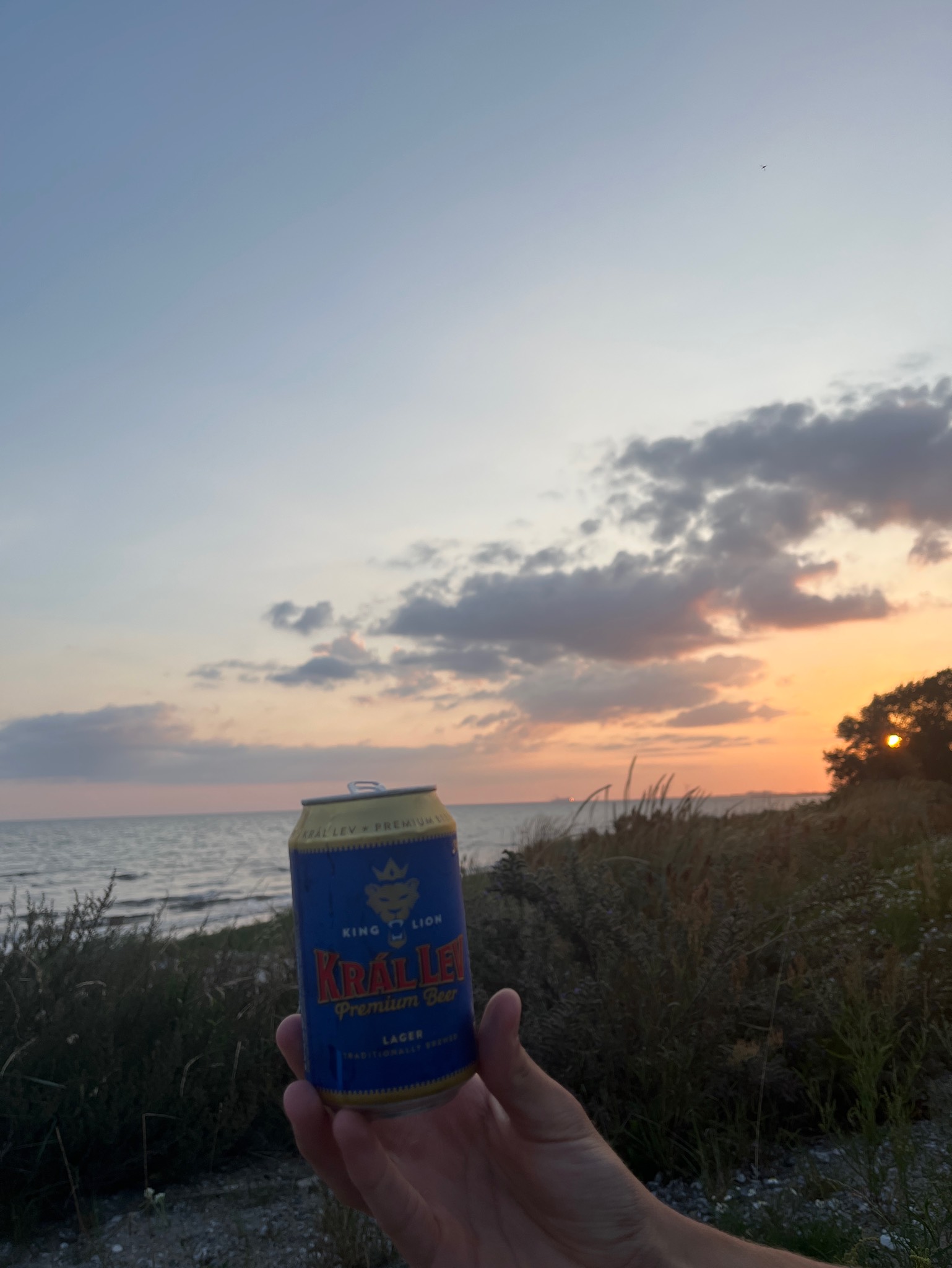 Král Lev, Czech Republic