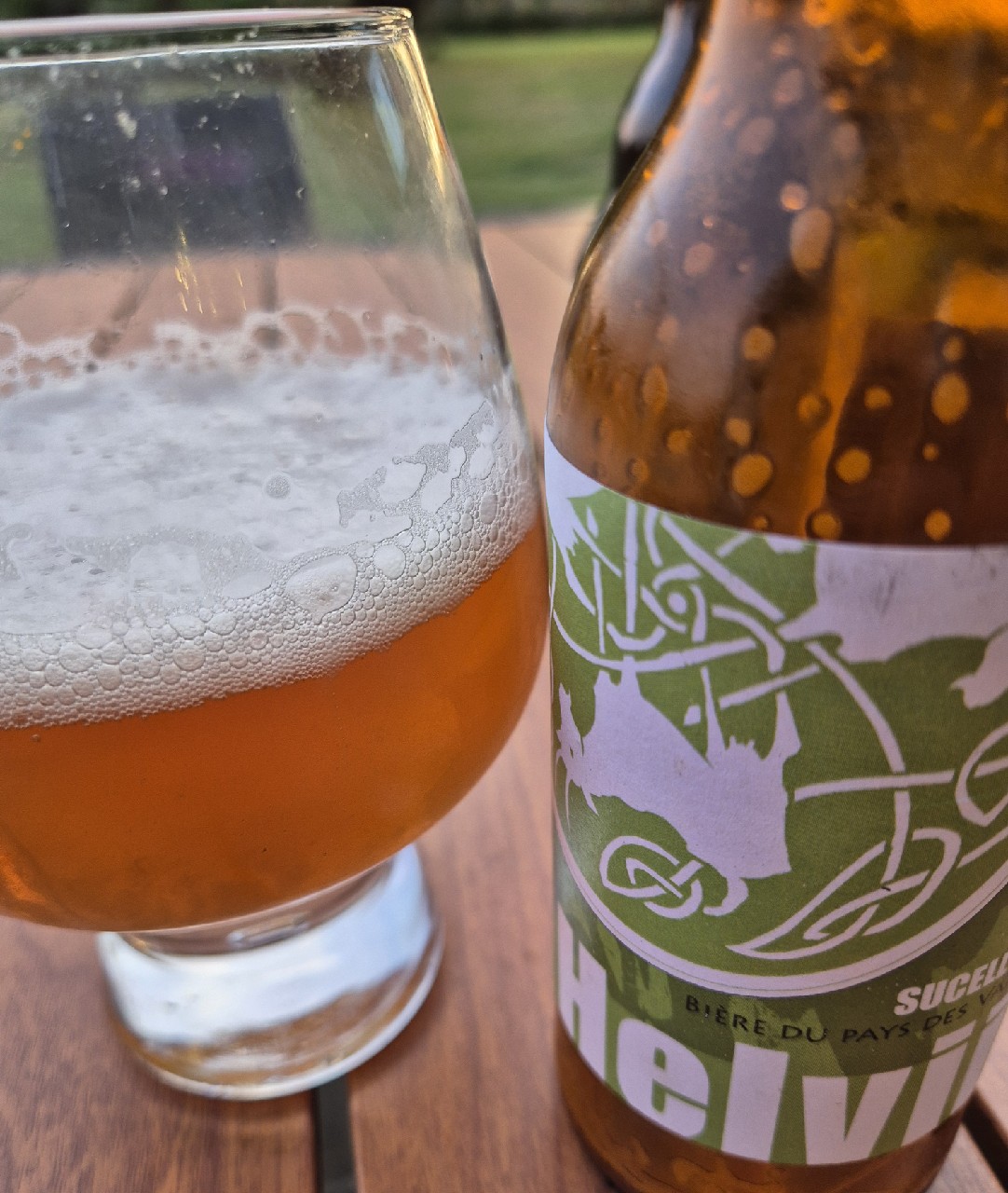 La Sucellos, Brasserie L'Helvii