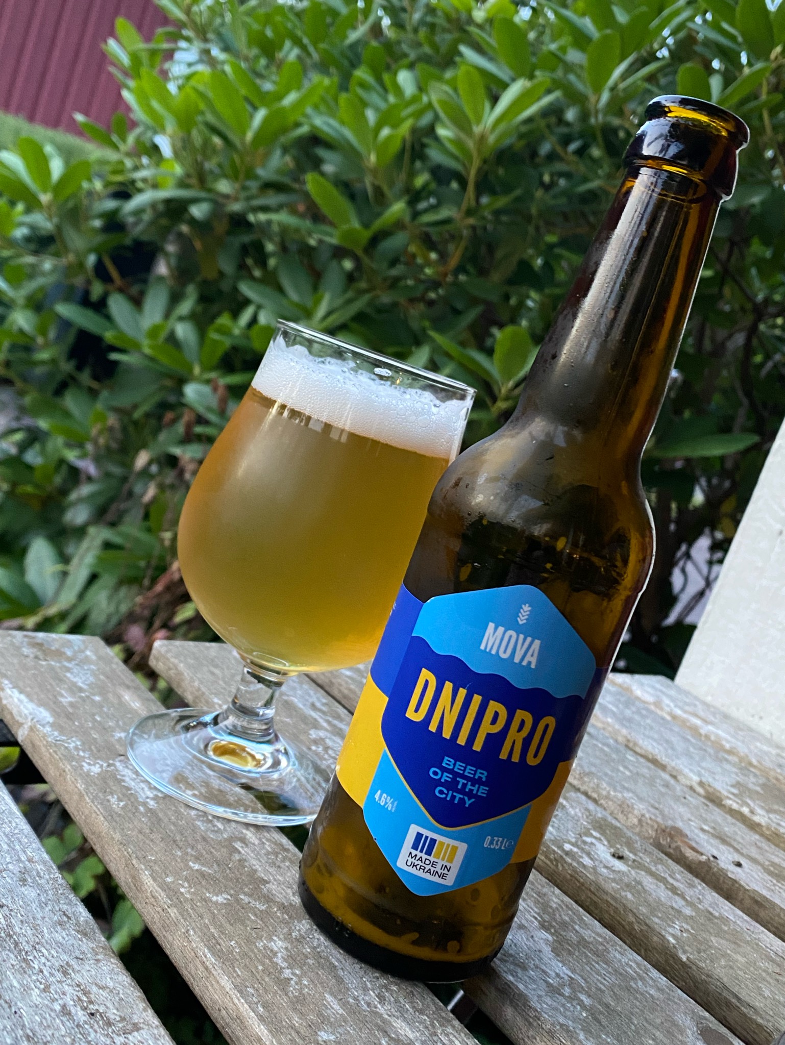 mova dnipro, Ukraine