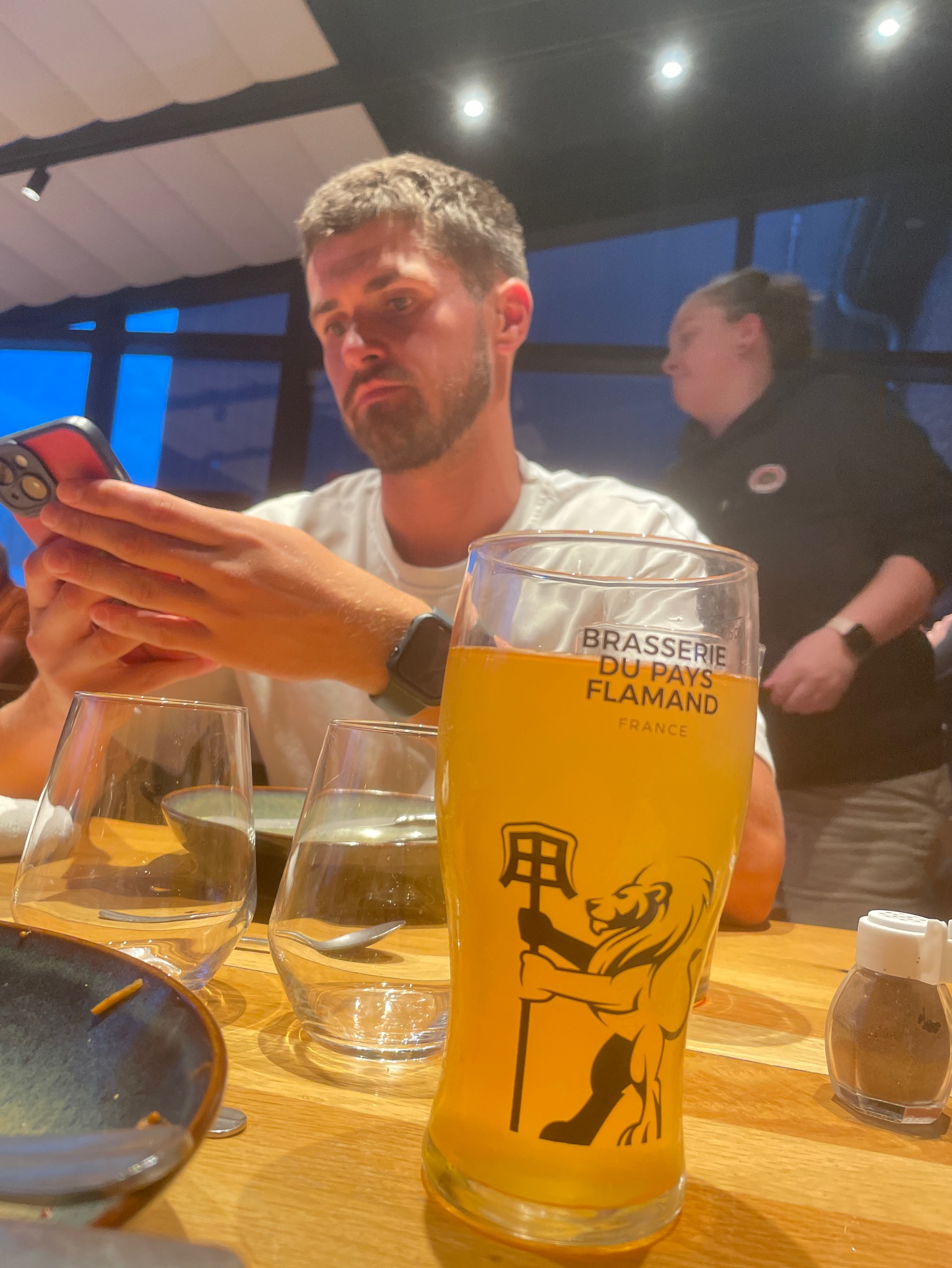 Wilde Leeuw Saison, France