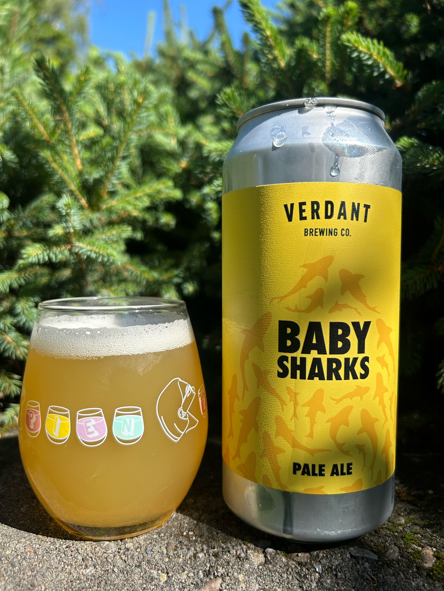 Baby Sharks, England