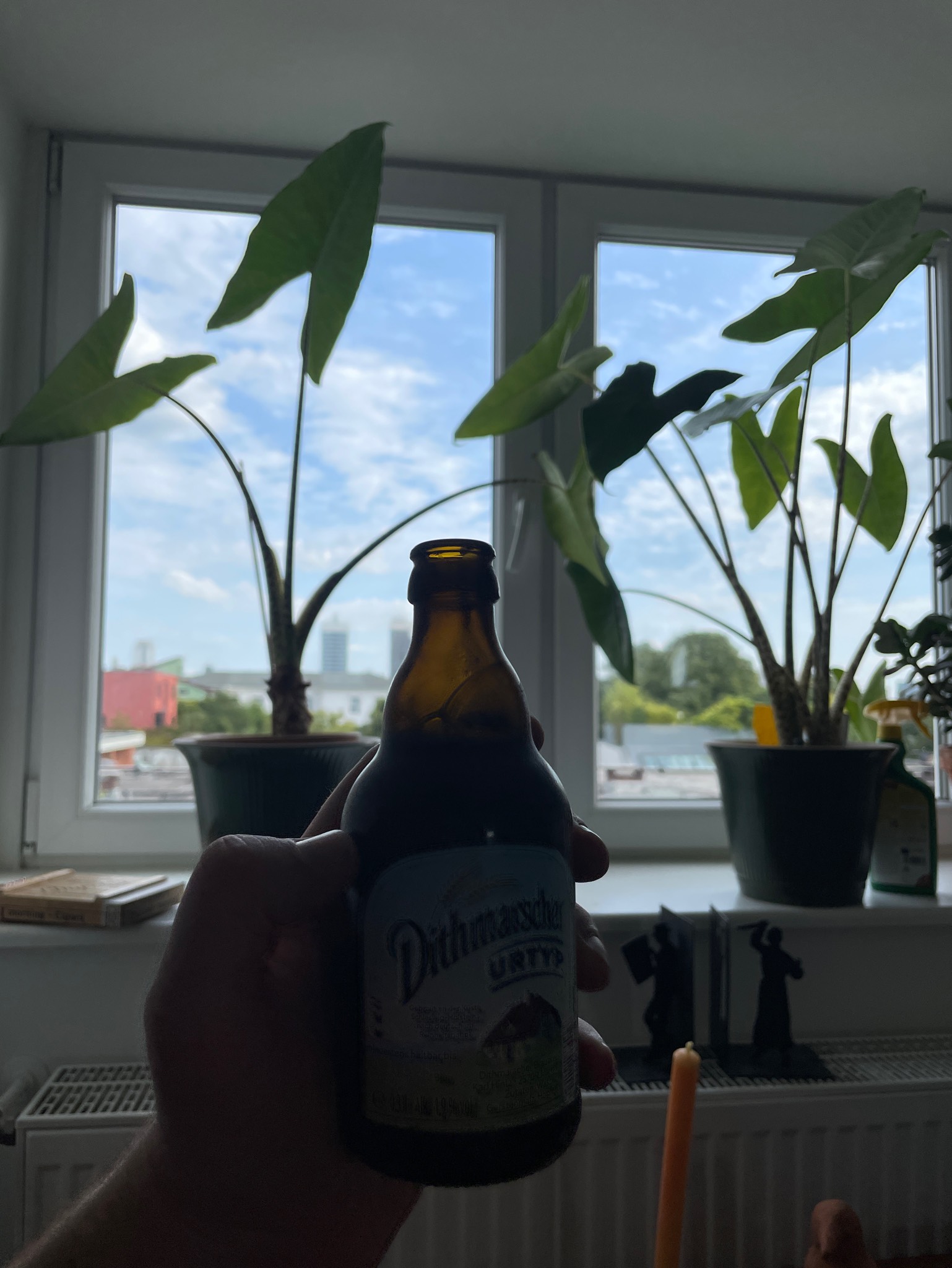 Dithmarscher Urtyp, Germany