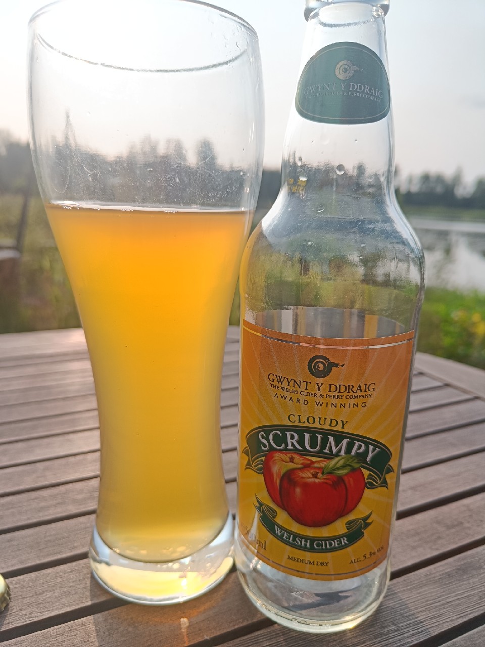 Farmhouse Cloudy Scrumpy Welsh Cider, Gwynt Y Ddraig