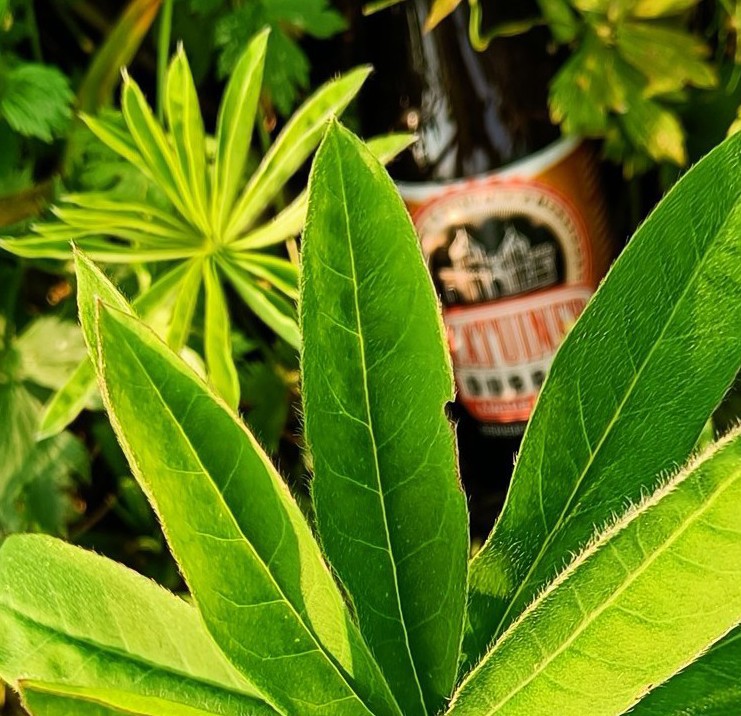 Katuiner Dubbel, Brouwerij Katuin