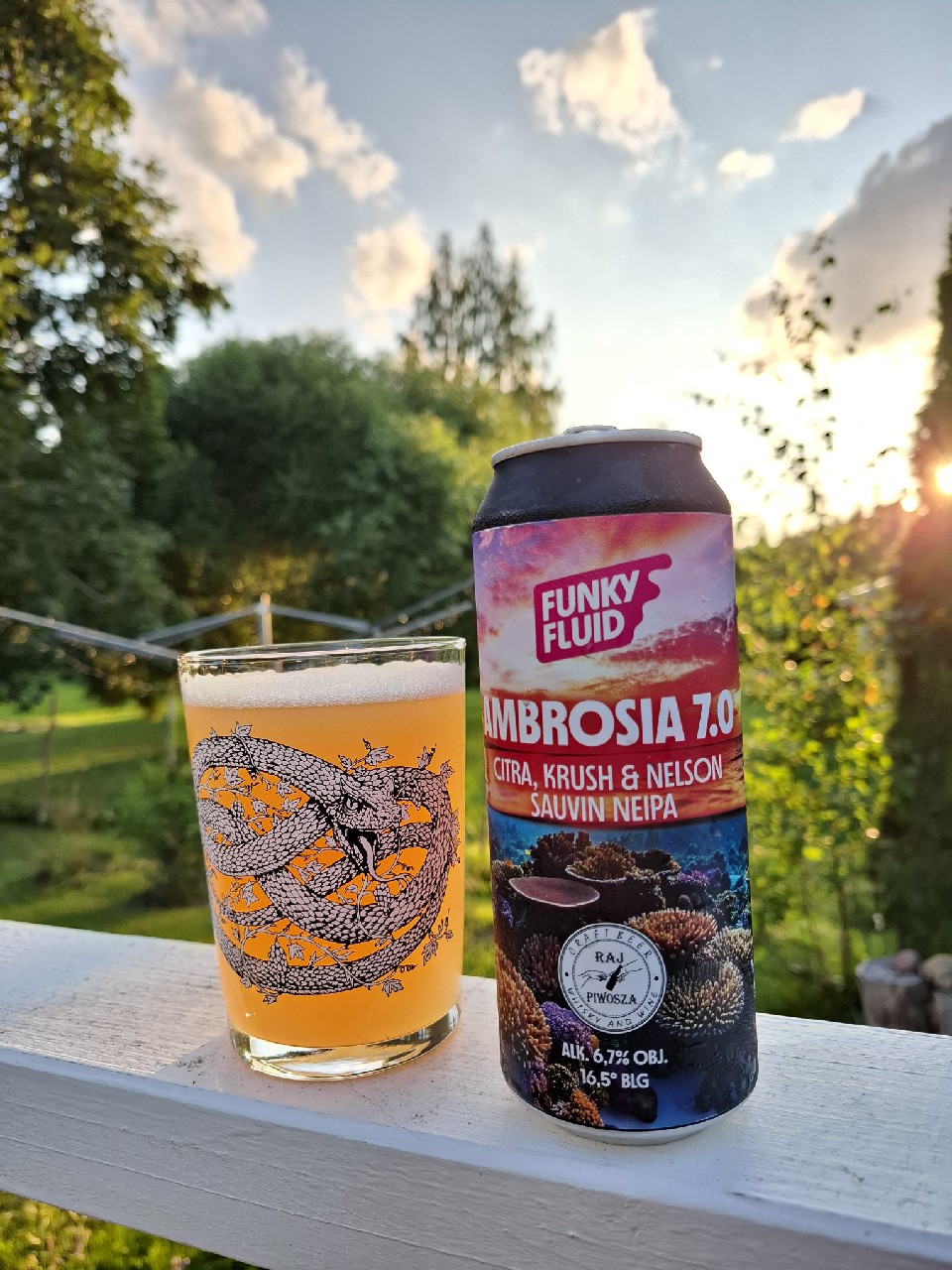 Ambrosia 7.0, Poland