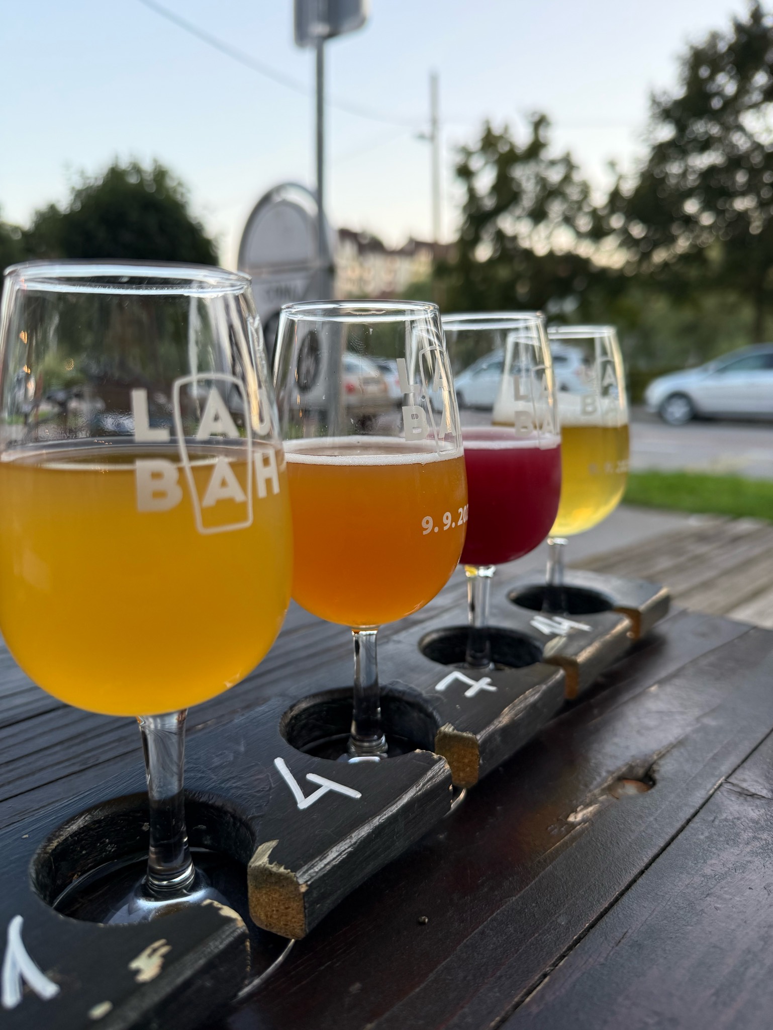 Extinction Is Forever!: Axolotl, Austria