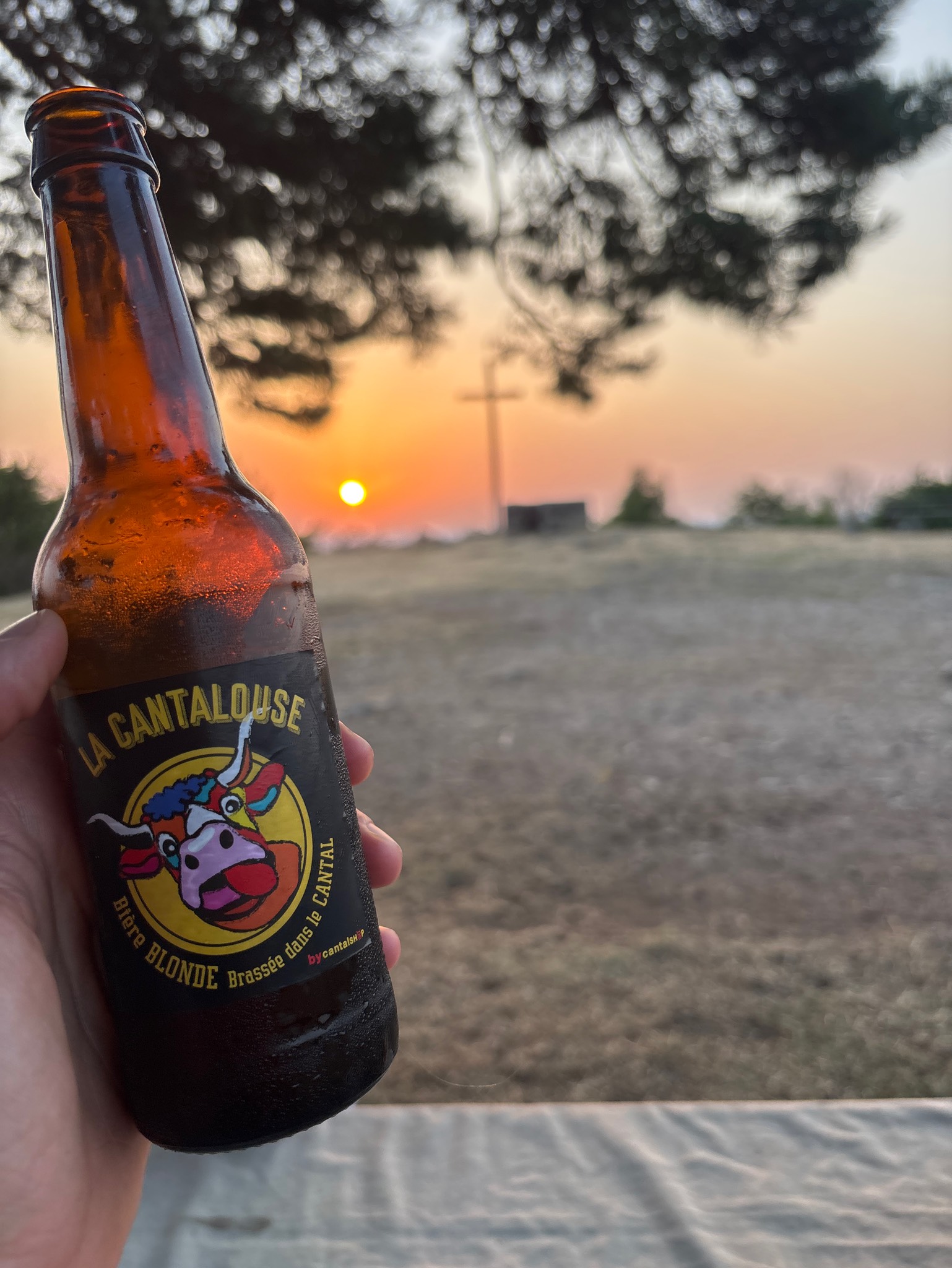 La Cantalouse Blonde, France