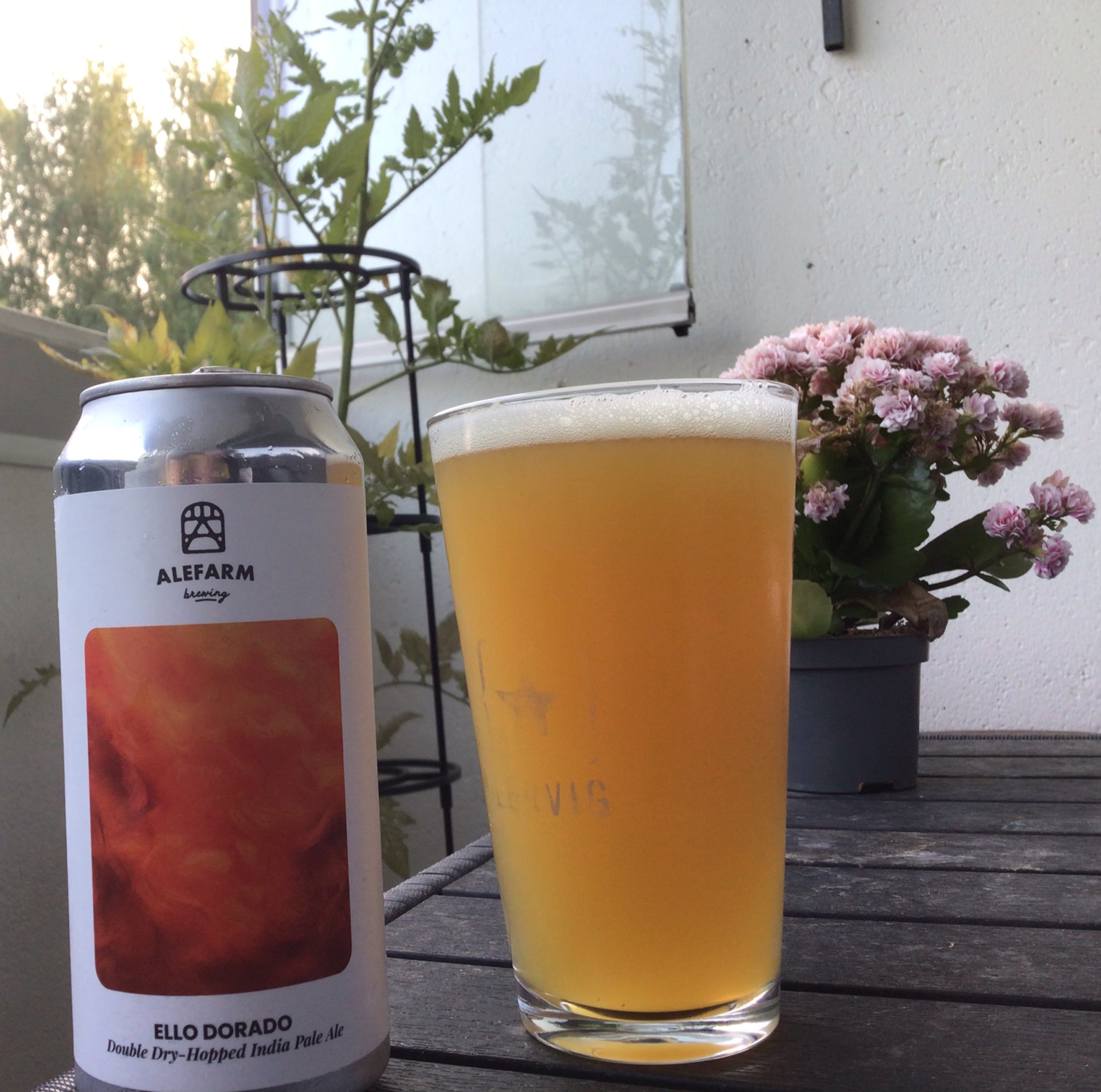 Ello Dorado, Denmark