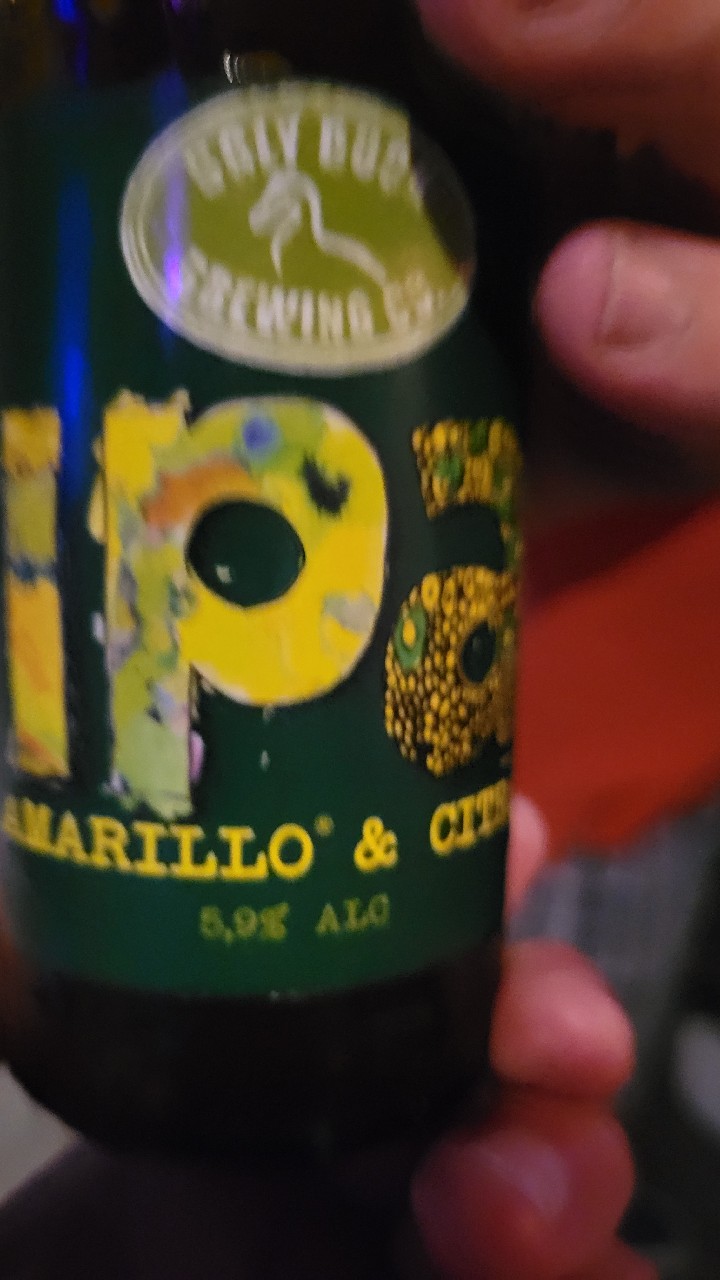 IPA Amarillo & Citra, Denmark