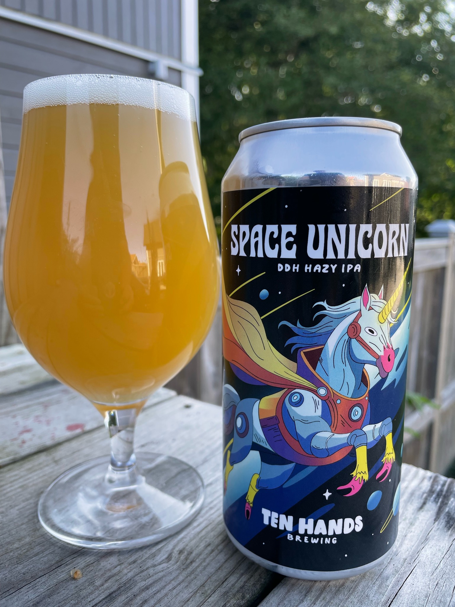 Space Unicorn, Sweden