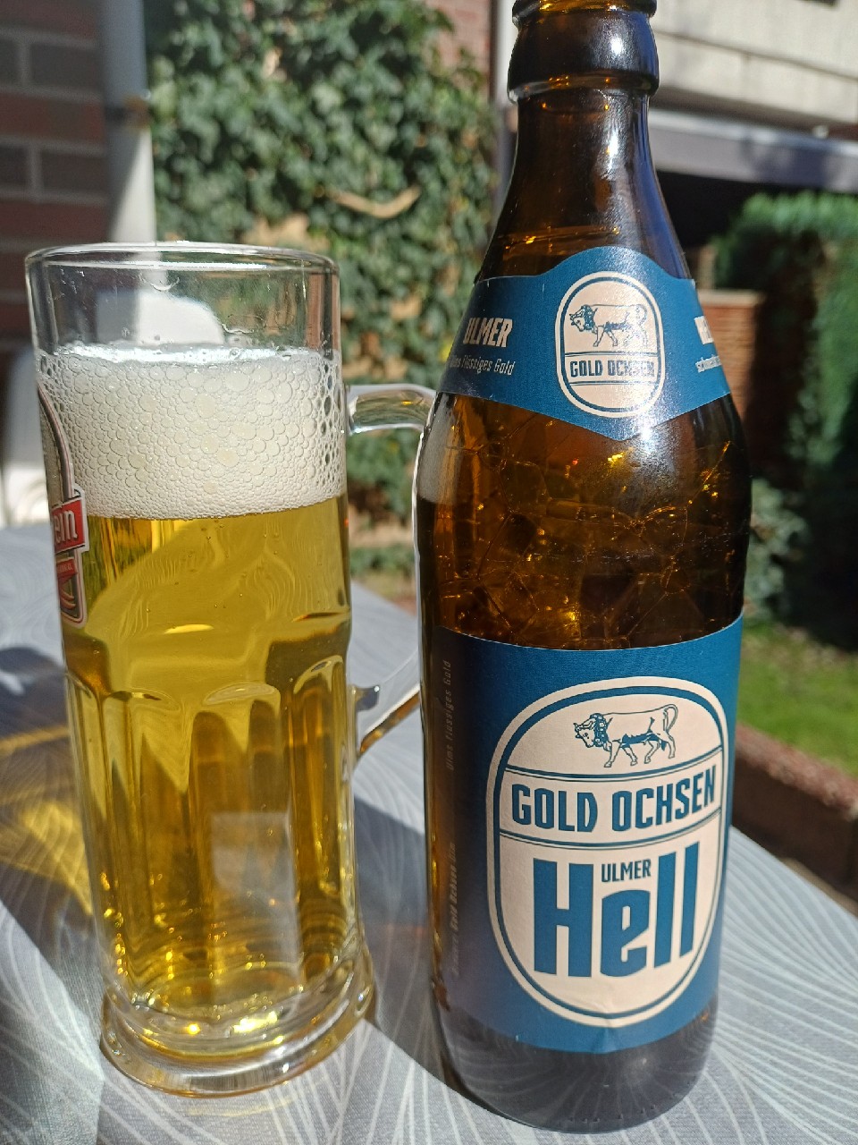 Ulmer Hell, Brauerei Gold Ochsen