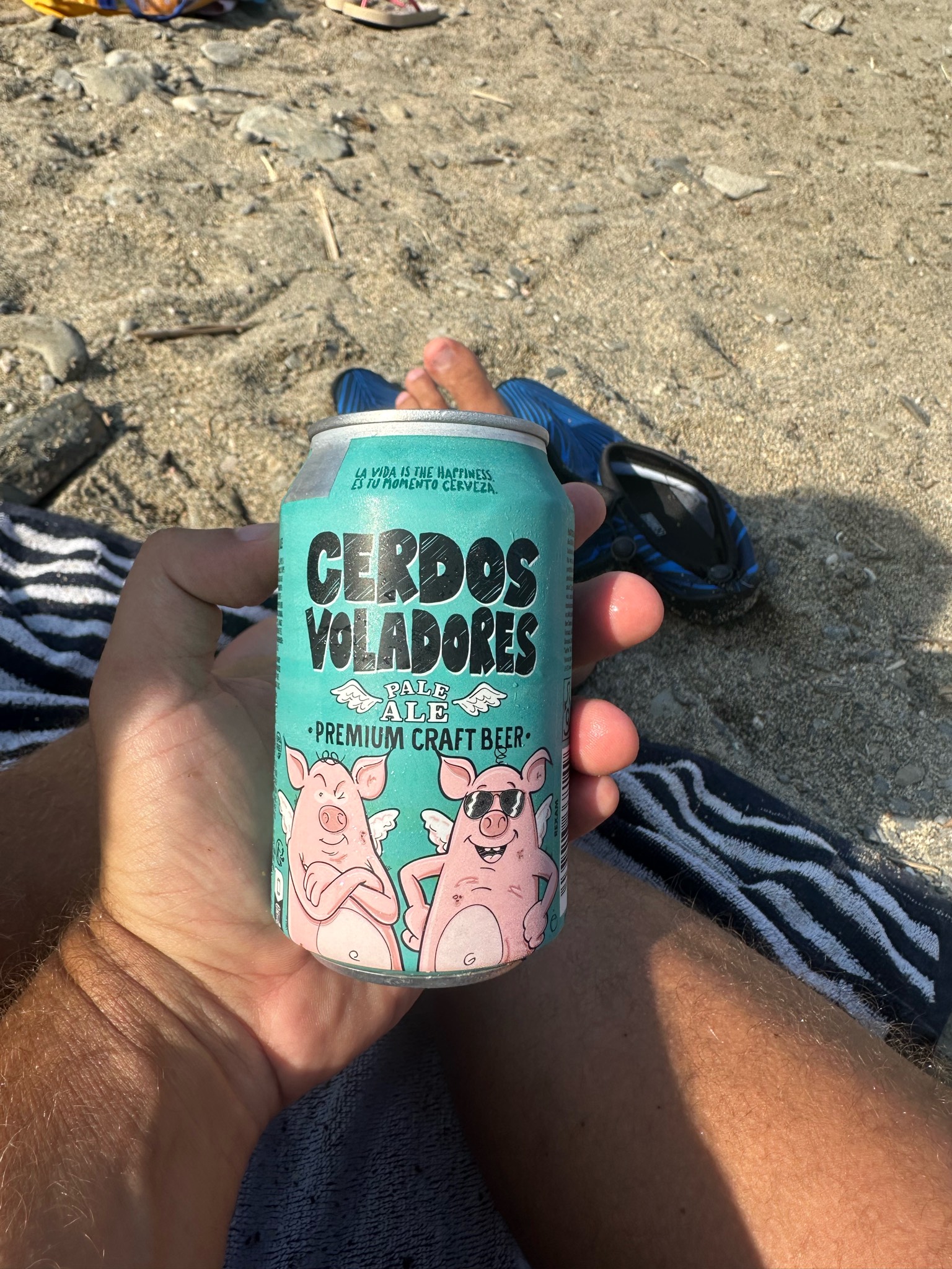 Cerdos Voladores Pale Ale, Spain