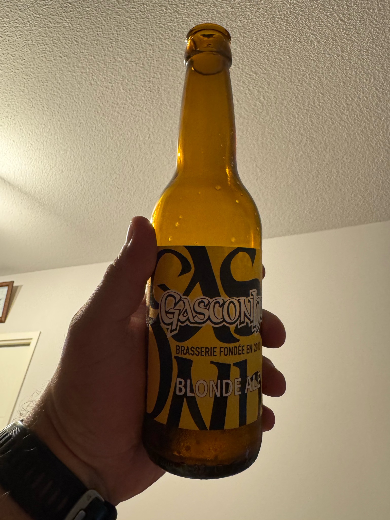 Gasconha Blonde, Gasconha