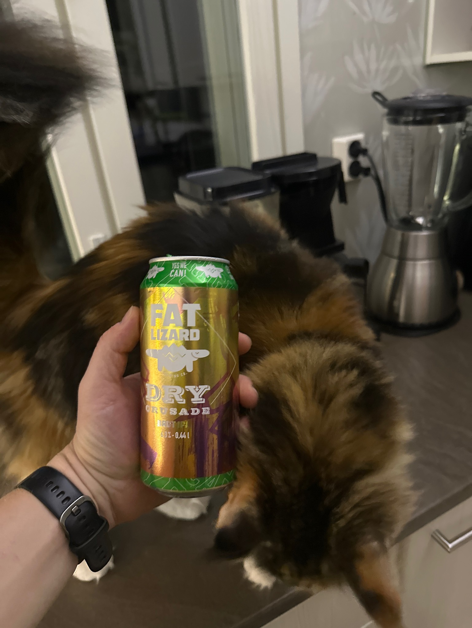 Dry Crusade, Finland