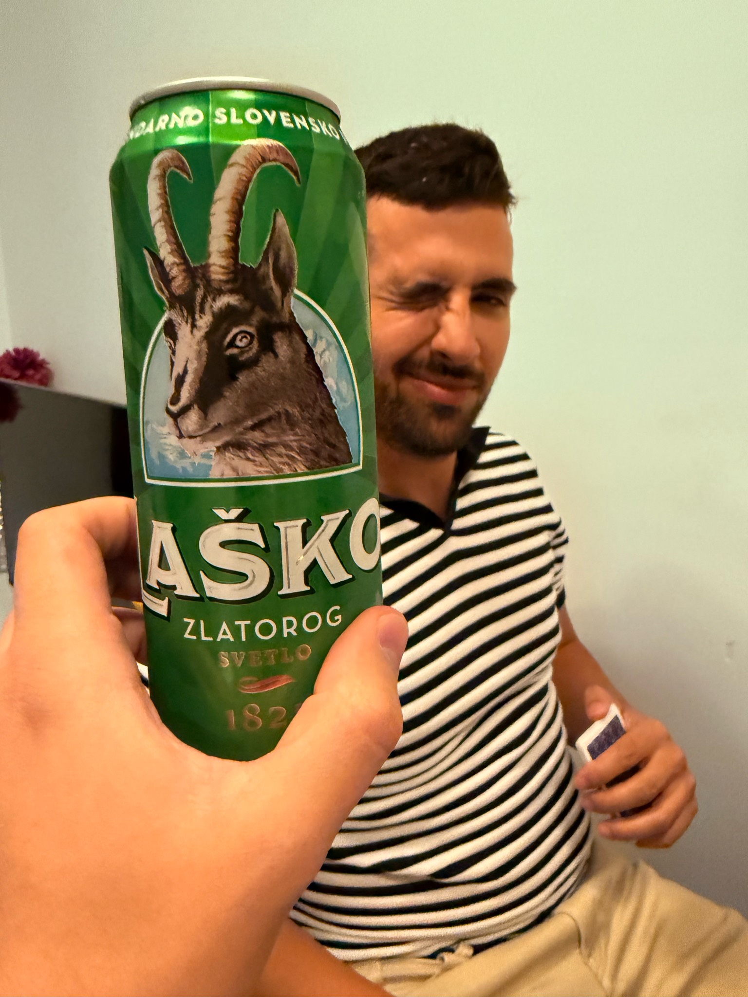 Laško Zlatorog svetlo, Pivara Zaječar (Heineken)