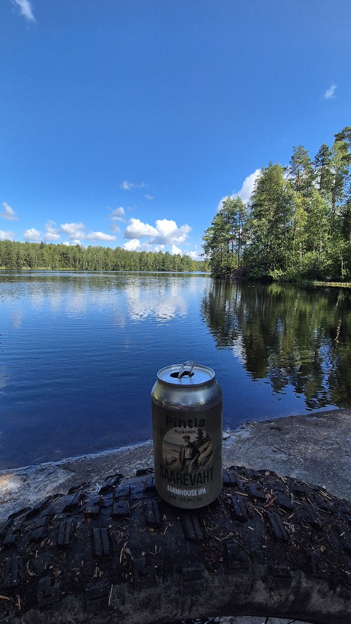 Saarevaht Farmhouse IPA, Estonia