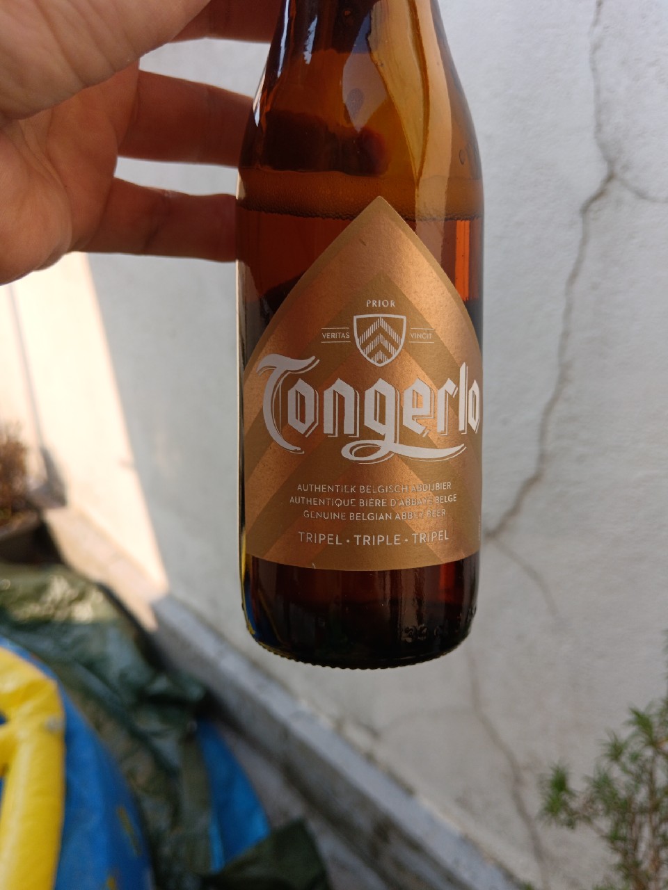 Tongerlo Tripel, Belgium