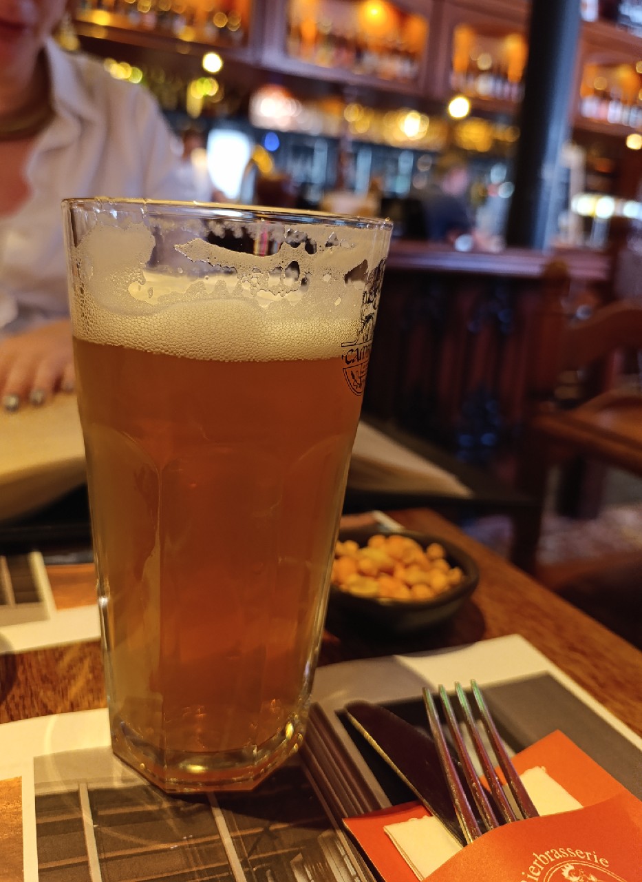 Troubadour Magma Oak, Belgium