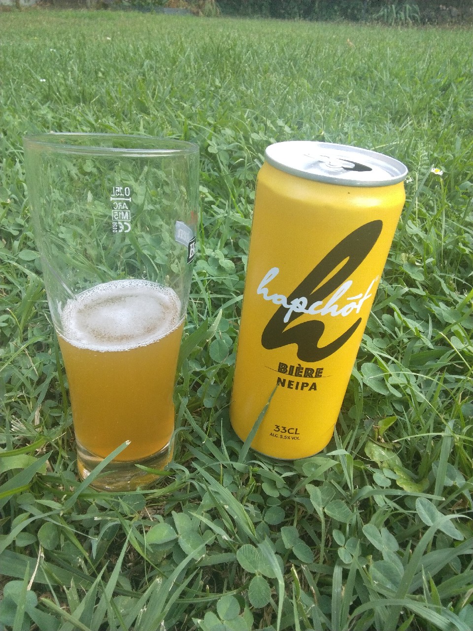 Hapchot Hazy IPA, France