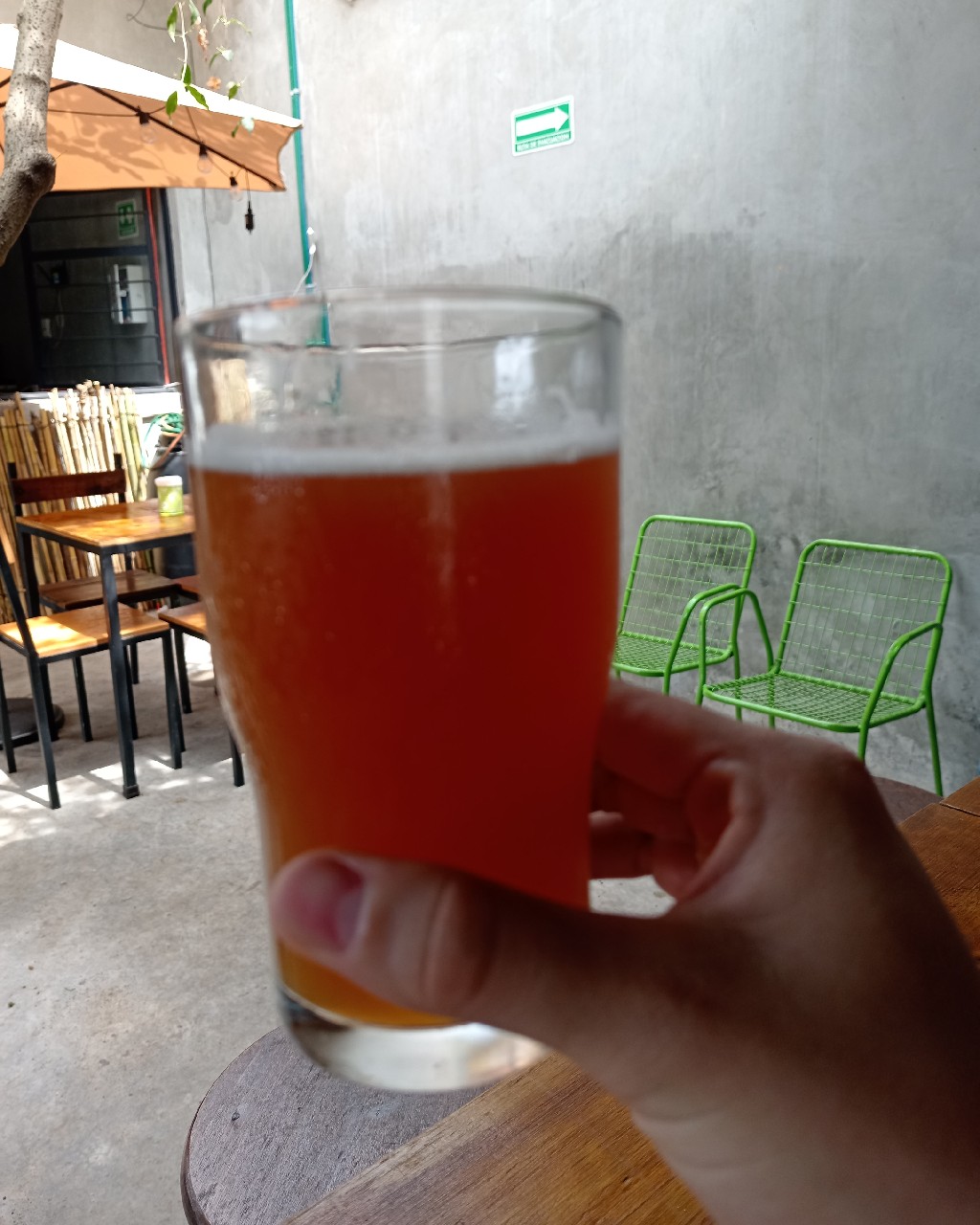 Fluweel Dorada, Nauyaca