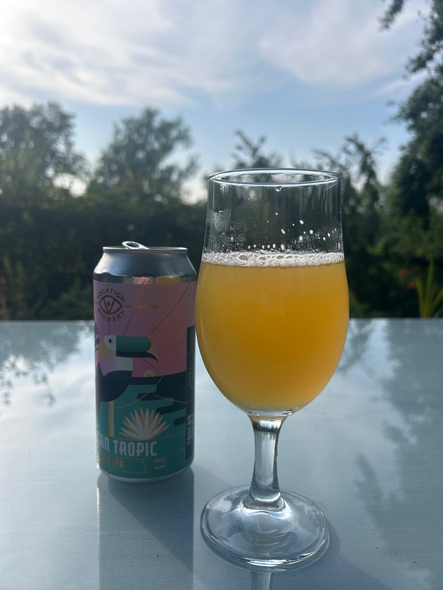 Toucan Tropic, Vocation Brewery