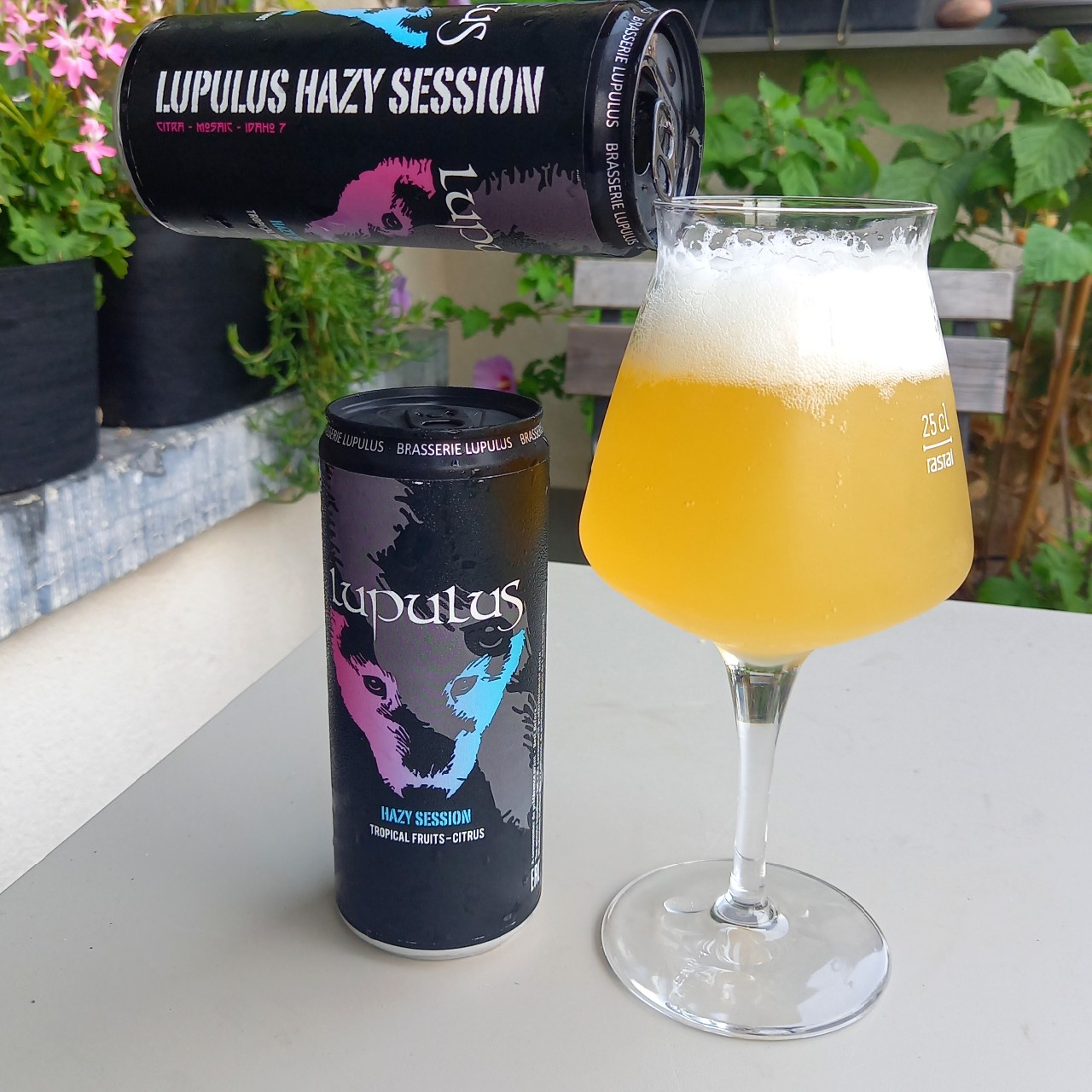 Lupulus Hazy Session, Belgium