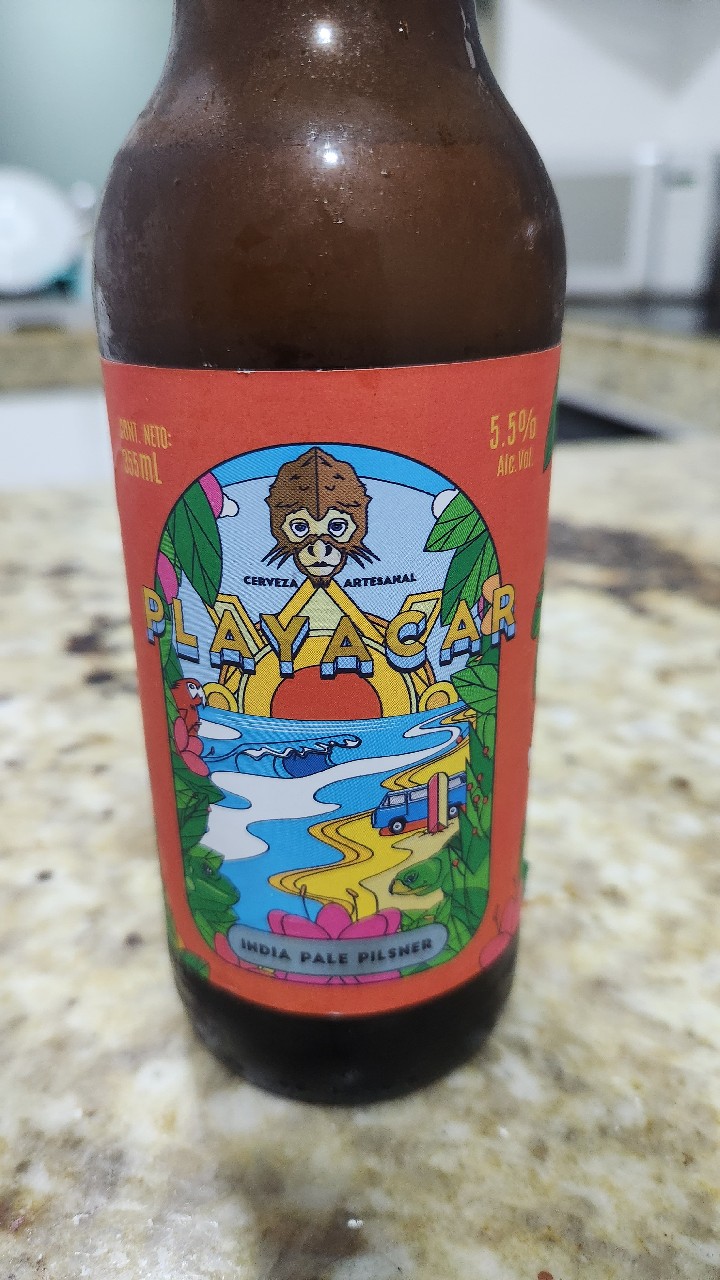 minerva playacar, Mexico