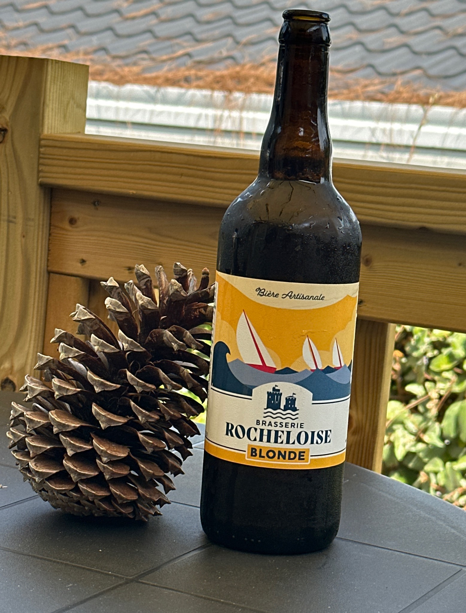 Rocheloise Blonde, France