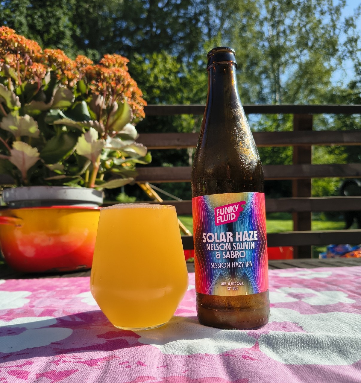 Solar Haze: Nelson Sauvin & Sabro, Poland