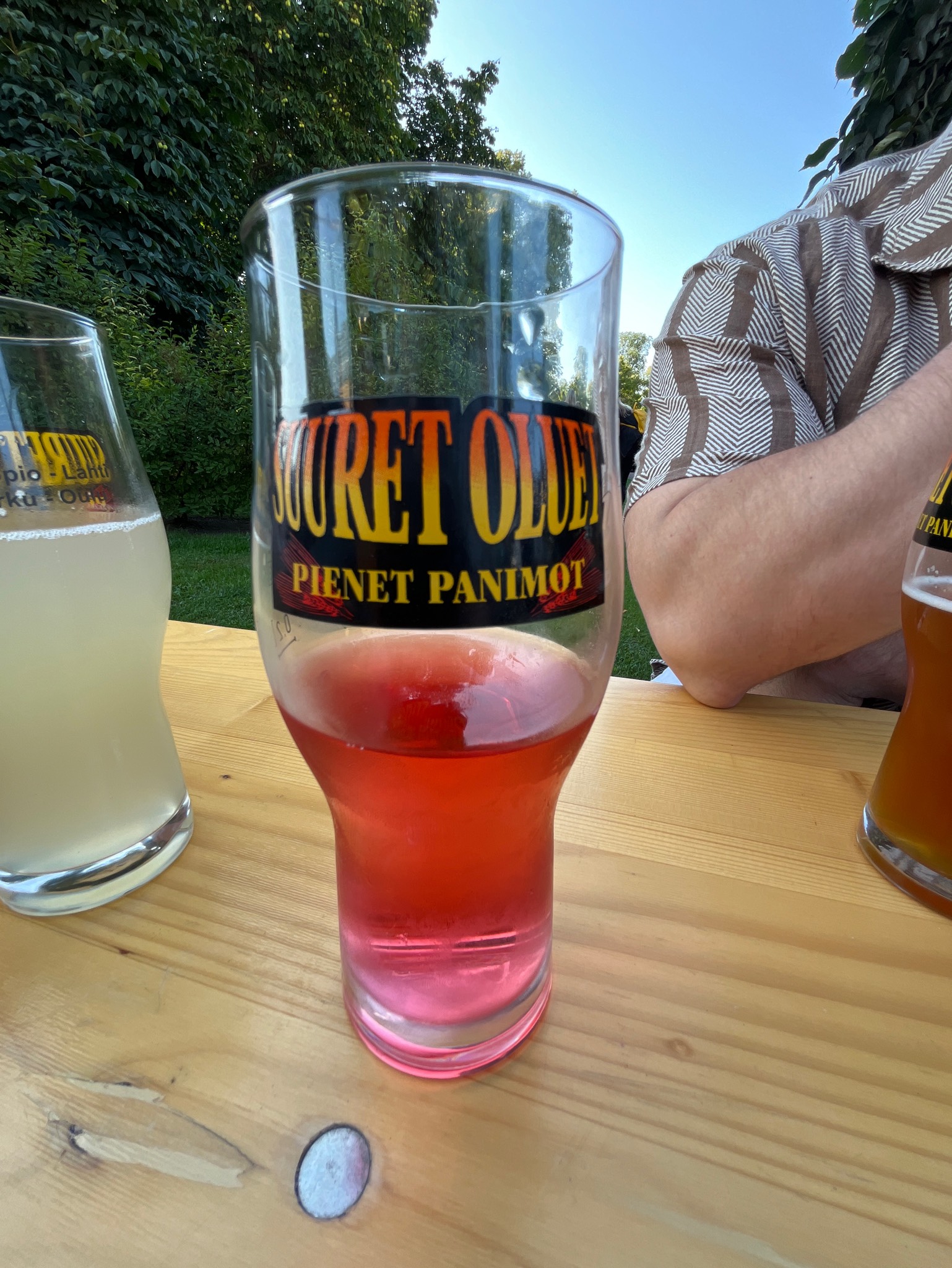 Aina Karpalolonkero, Finland