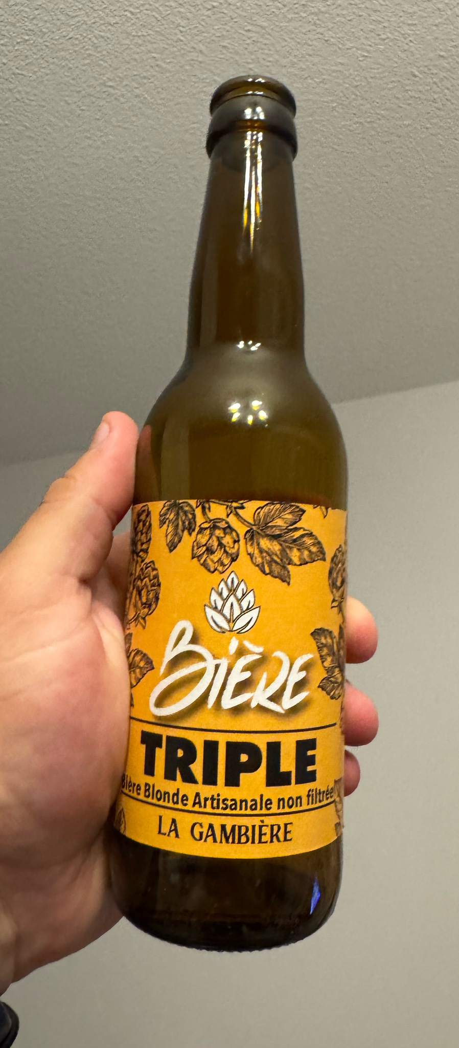 La Gambière Triple, France