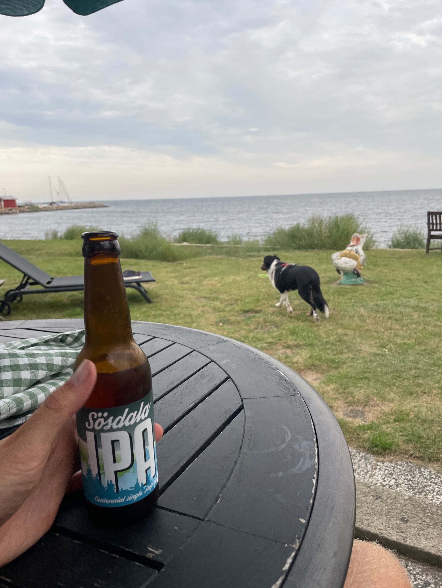 Sösdala Andelsmejeri – India Pale Ale, Sweden