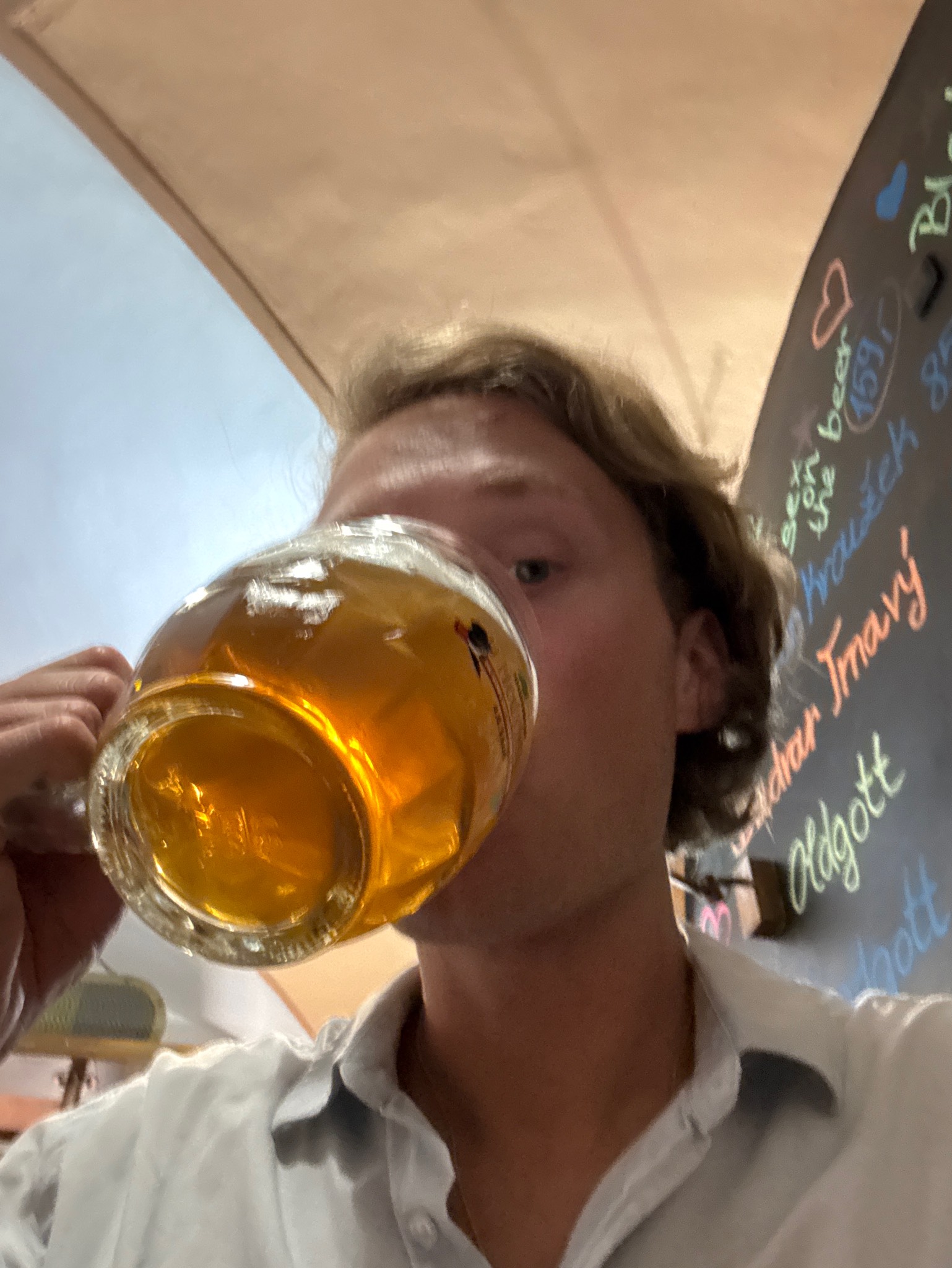 Blondgott, U Medvídků