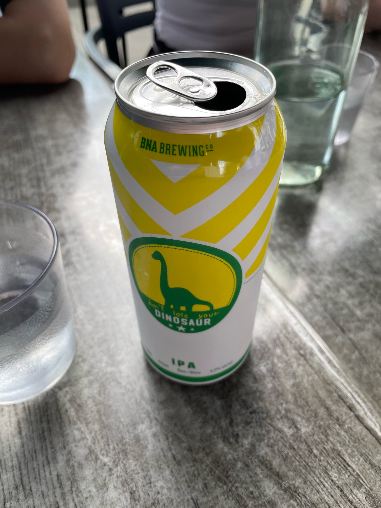 Don't lose your dinosaur, BNA Brewing