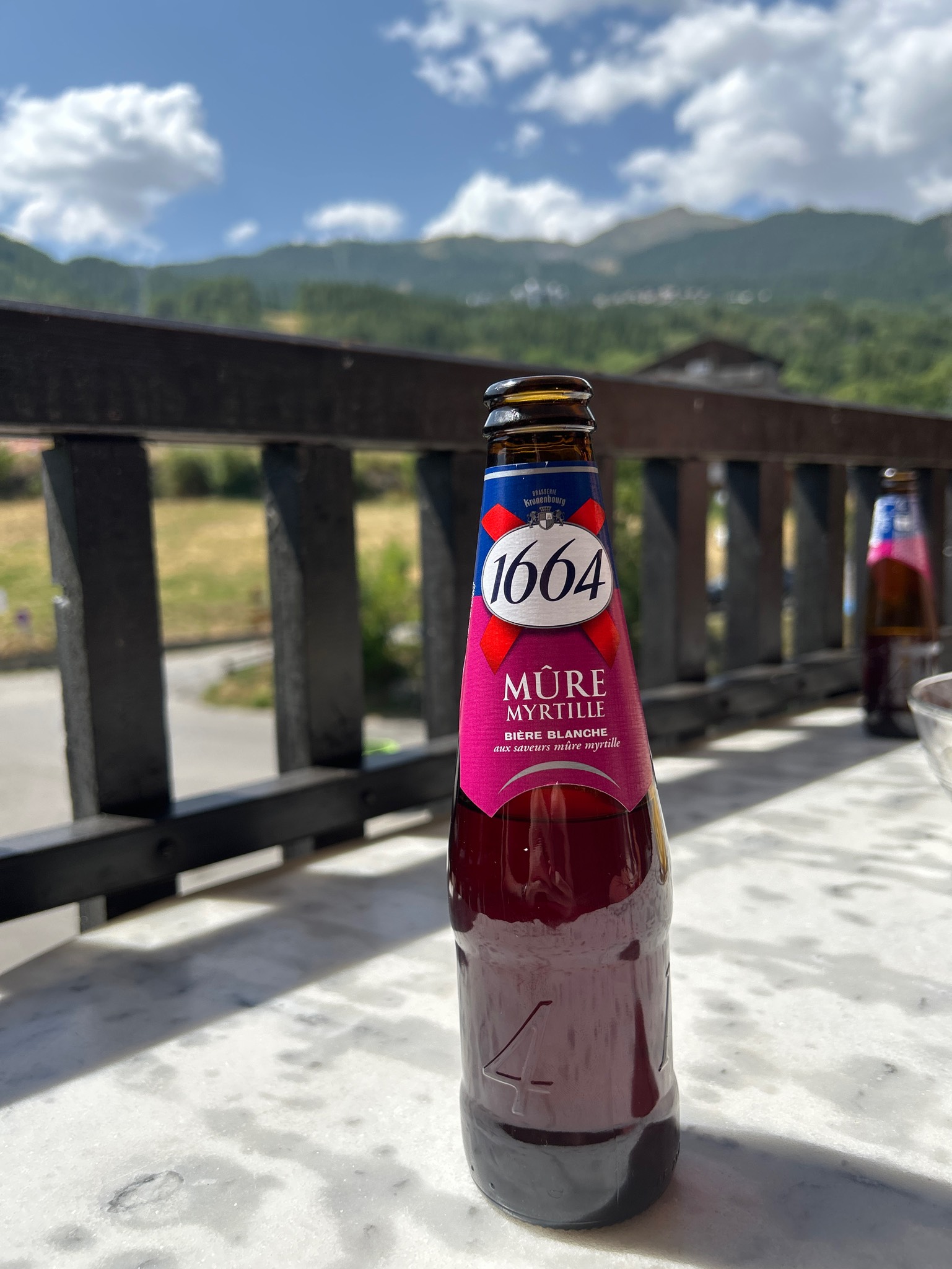 1664 Mûre Myrtille, France