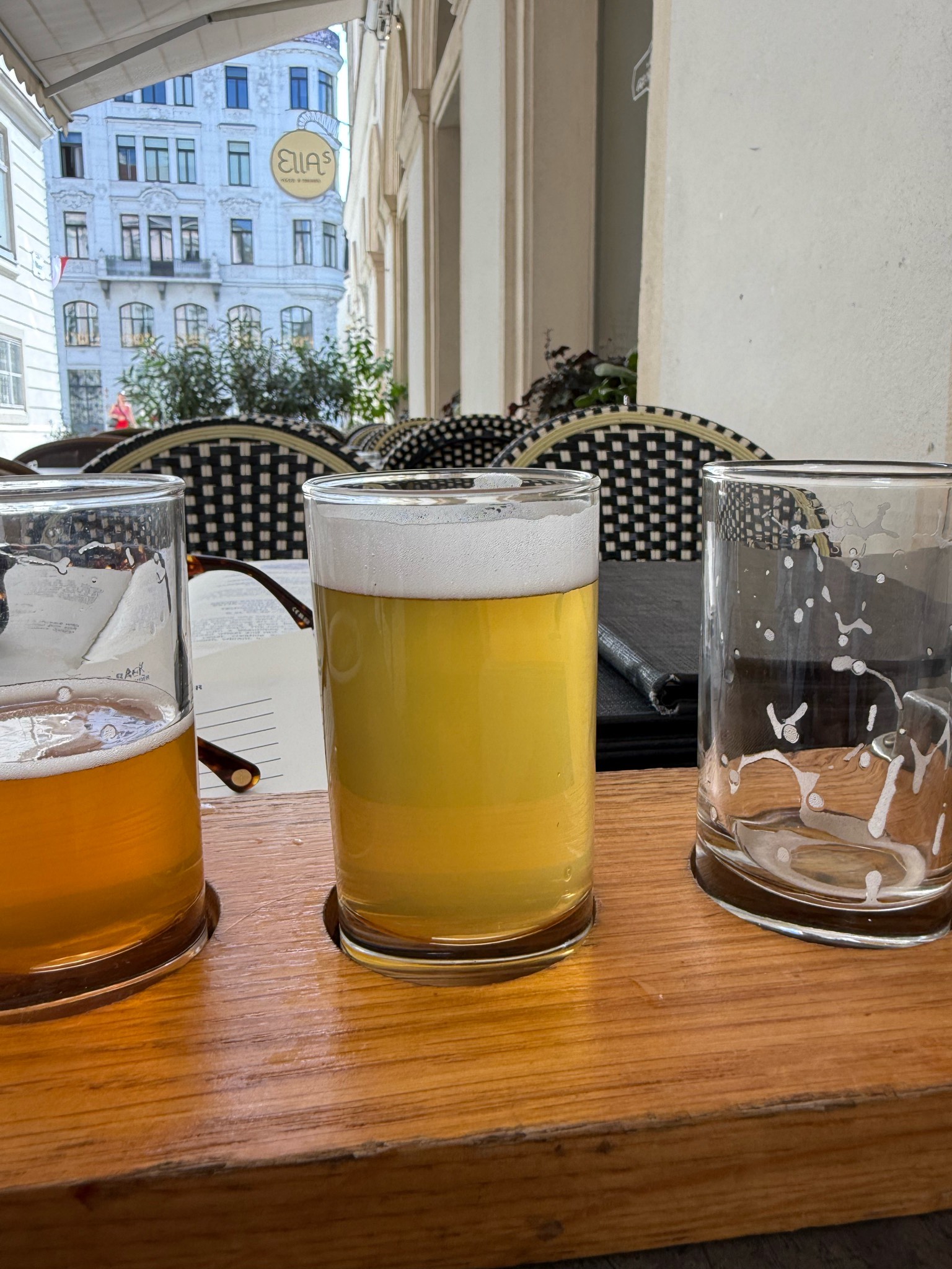 Extinction is forever!: Tehuantepec Jackrabbit, Austria