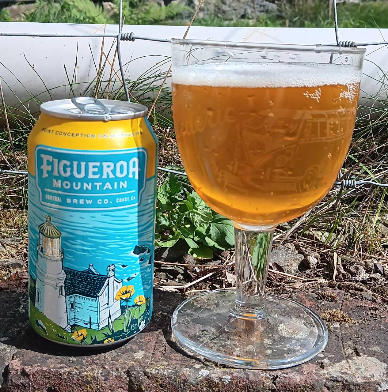 Point Conception, United States