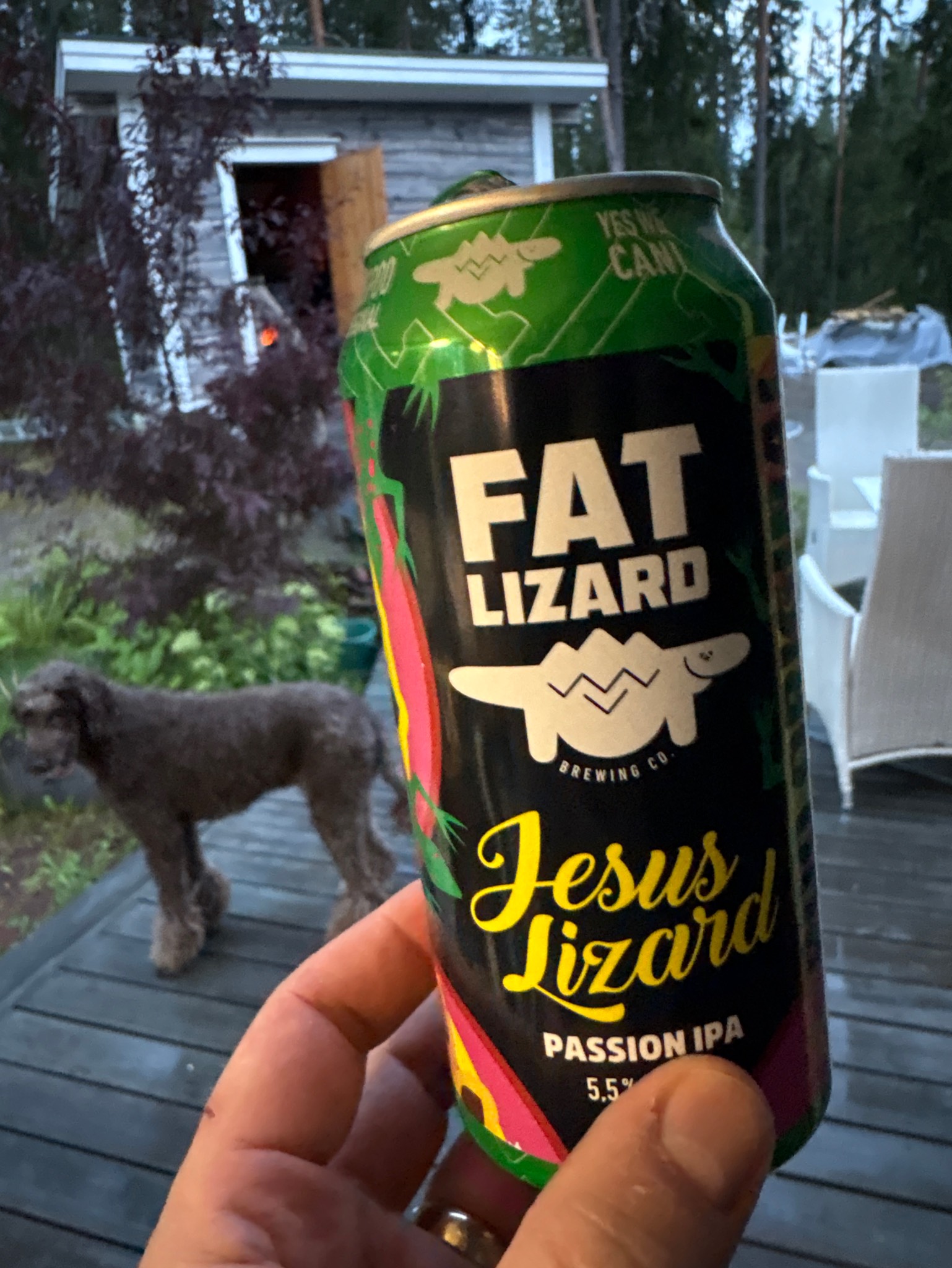 Jesus Lizard Passion IPA, Finland