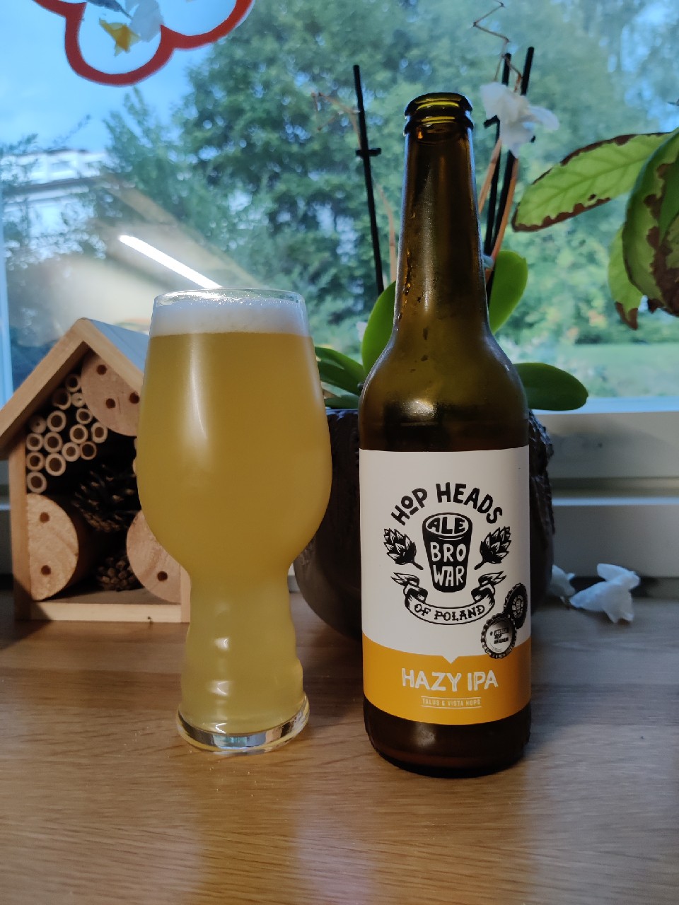 Hazy IPA: Talus & Vista, Poland