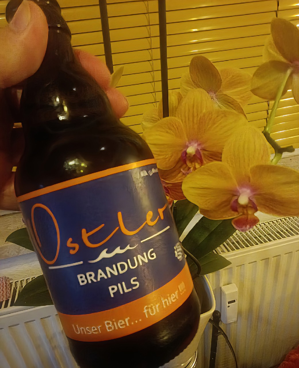Ostler Brandung Pils, Brauerei Neunspringe Worbis