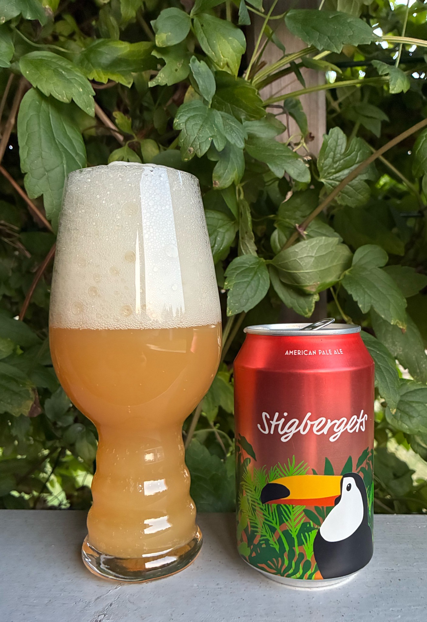 American Pale Ale Amarillo Citra, Sweden