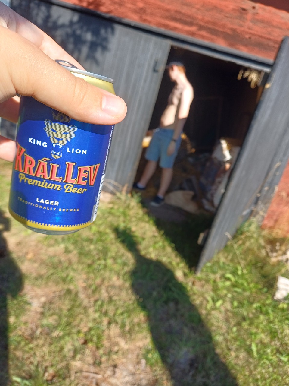 Král Lev, Czech Republic