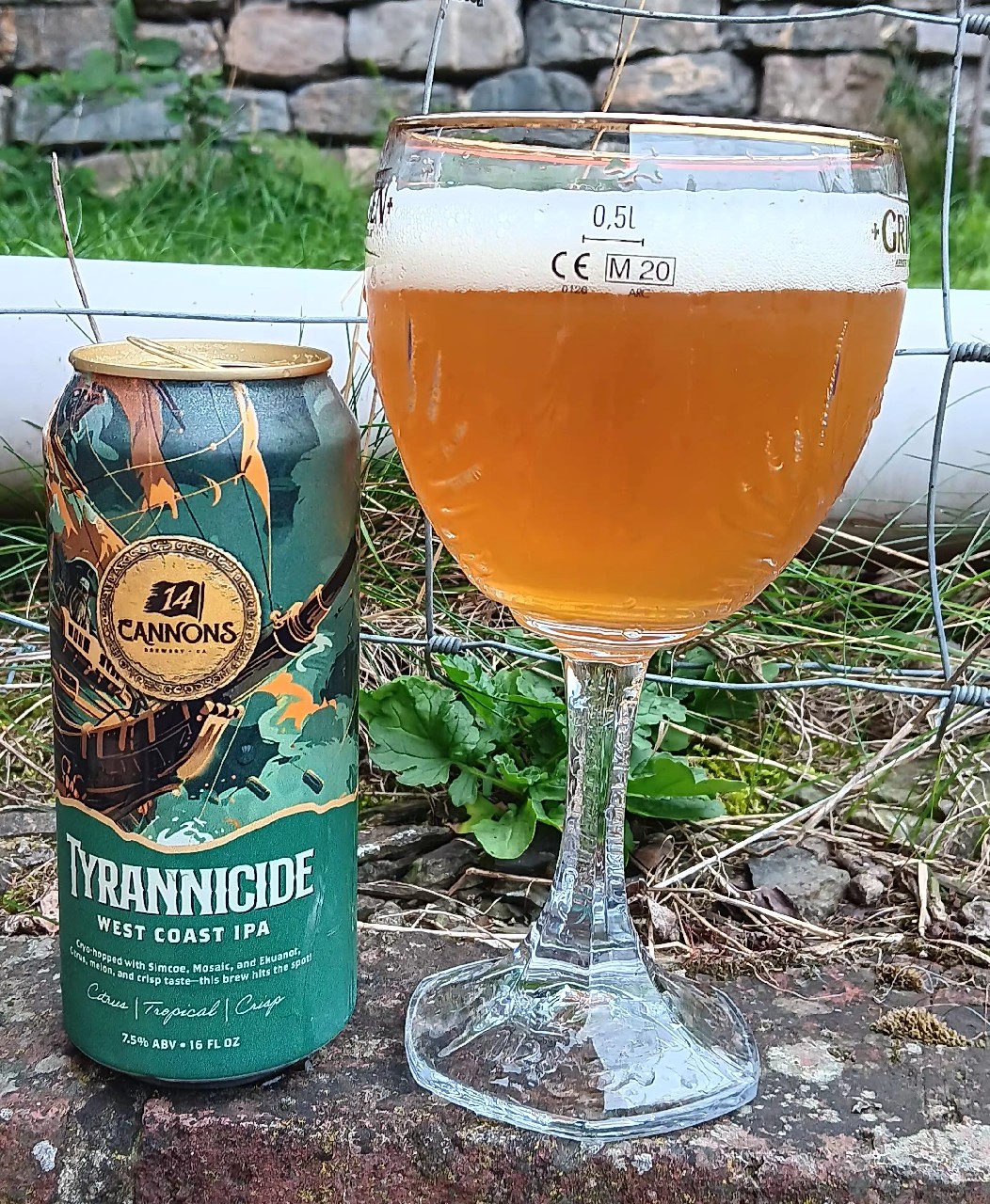 tyrannicide, 14 cannons