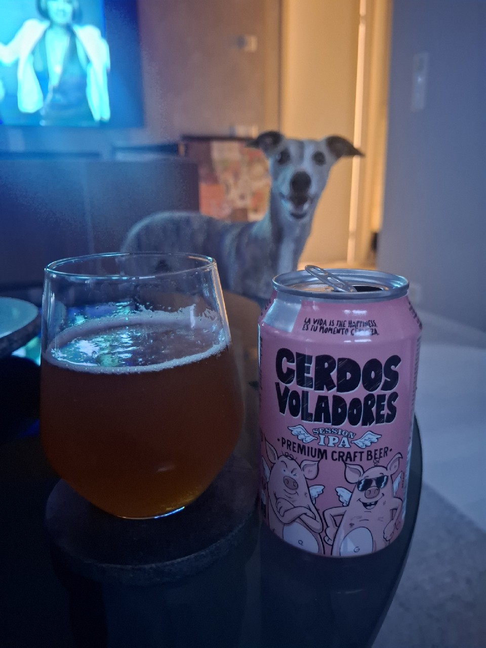 Cerdos Voladores IPA, Spain